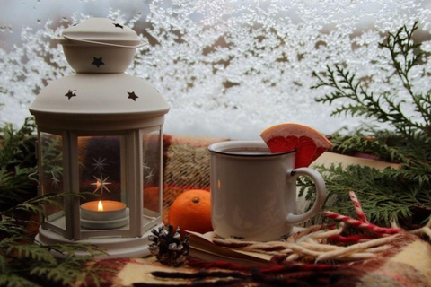 Stuttgart : balade en traîneau d&#039;hiver en charretteStuttgart : balade en charrette couverte