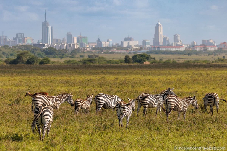 Passeio matinal ou vespertino pelo Parque Nacional de NairobiPasseio de carro pelo Parque Nacional de Nairóbi