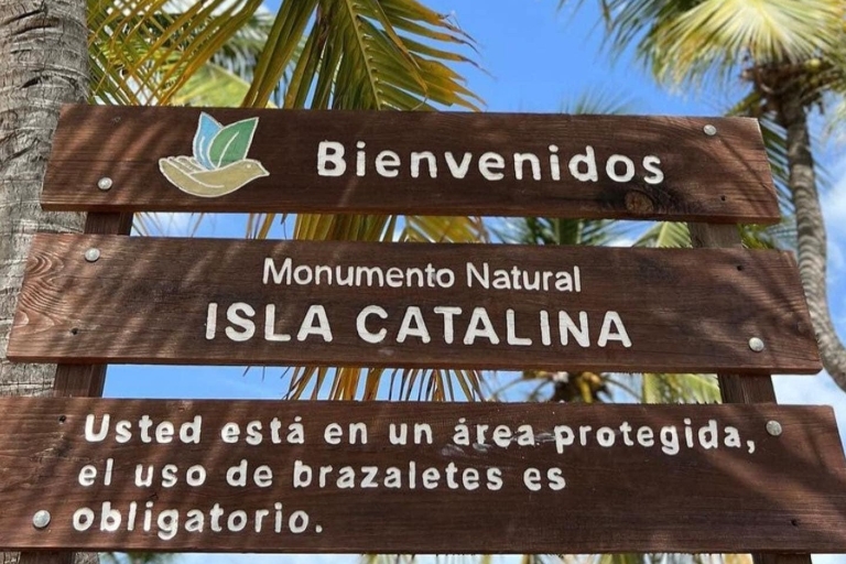 Découvrez l'île de Catalina - plongée en apnée, buffet ouvert et boissons