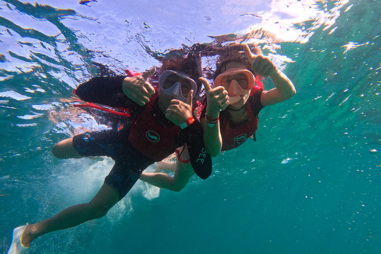 Ballena Roja | Boracay: Crucero, Música y Actividades Acuáticas