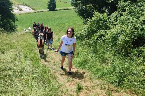 Jettingen-Scheppach: Alpaca hike through the Mindeltal