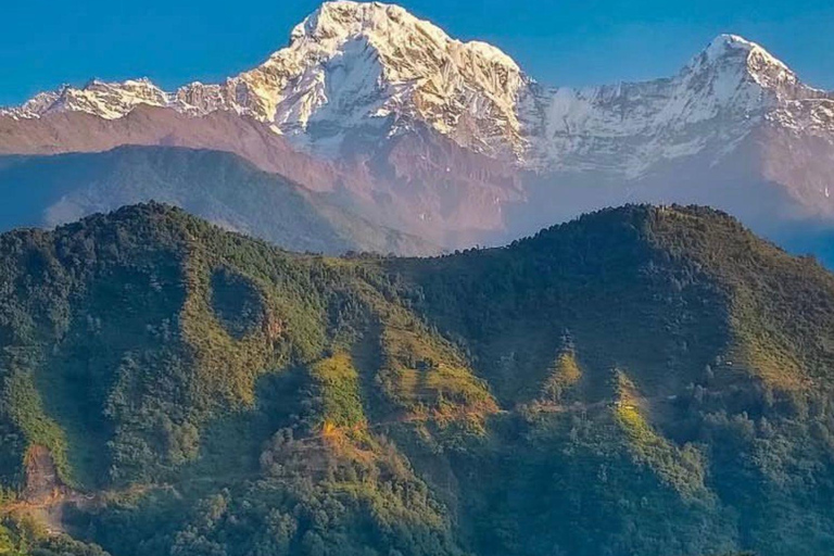 Kathmandu: 4-Day Viral Village Ghandruk Tour with Guide