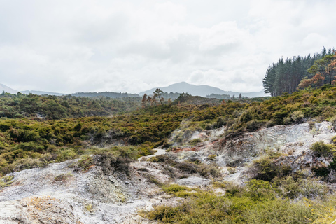 Waiotapu: Thermal Park and Lady Knox Geyser Entry Ticket