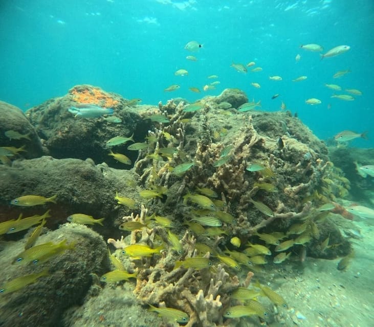 West Palm Beach Private Peanut Island Boat & Snorkel Tour GetYourGuide