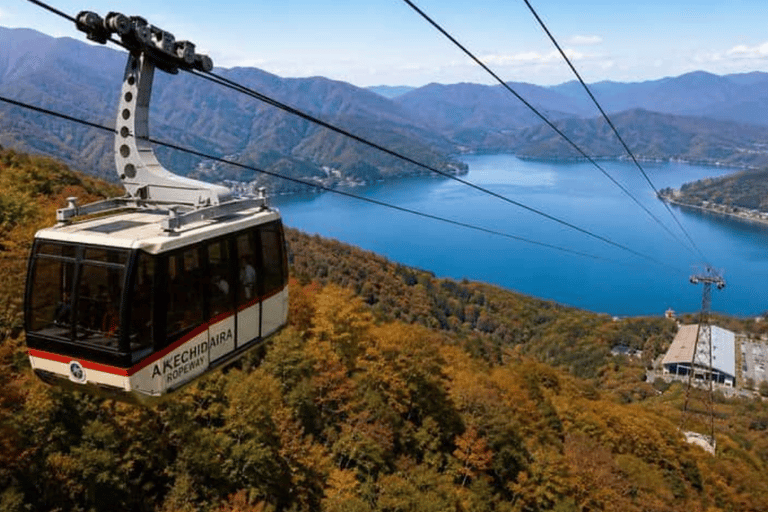 Tokyo: Nikko Craft, Forest Local Food Private Day Experience