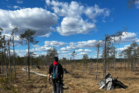 Helsinki: Full-Day Hike in Torronsuo’s Wild Bog