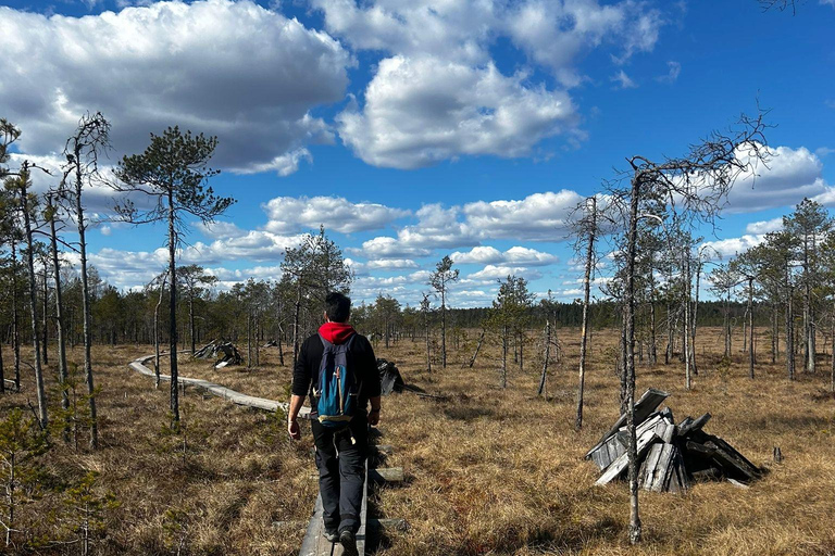 Helsinki: Full-Day Hike in Torronsuo’s Wild Bog