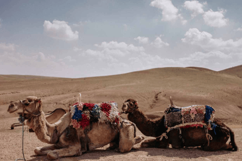 Från Marrakech: Kameltur i Agafay-öknen vid solnedgångenFrån Marrakech: Kamelritt i solnedgången i Agafayöknen