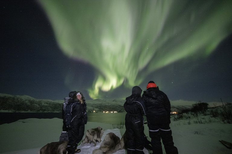 Von Tromsø: Nordlichtjagd mit Fotos &amp; SnacksNordlichtjagd in Tromso mit Fotos, Kleidern und Snacks