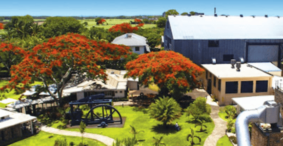 North Day Tour, Botanical Garden, Sugar Museum, Rum Tasting