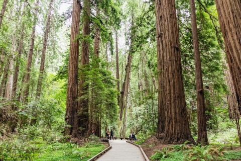 Ab San Francisco: Muir Woods, Riesenmammutbäume & SausalitoTour mit Fahrradverleih für 4 Stunden