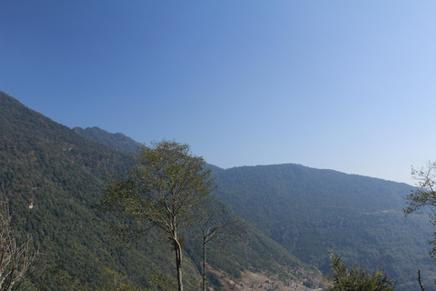 Pokhara: 3-Day Astam, Dhampus, and Australian Camp Trek