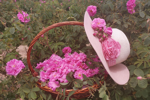 2026 Kazanlak Rose Festival Group Tour Accommodation in triple rooms