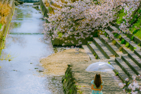Nara Cherry Blossom Highlights Spring Day Tour from Osaka Shared Tour, Meet at Tsurutontan Soemoncho