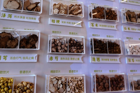 Shanghai: Tai Chi, Pulse Reading, and TCM Wellness Tour