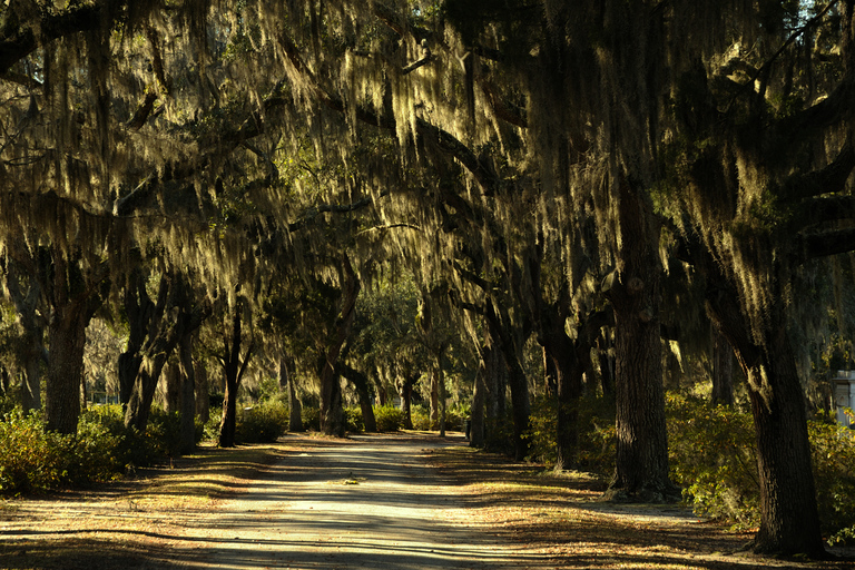 Savannah : Visite guidée du cimetière de Bonaventure