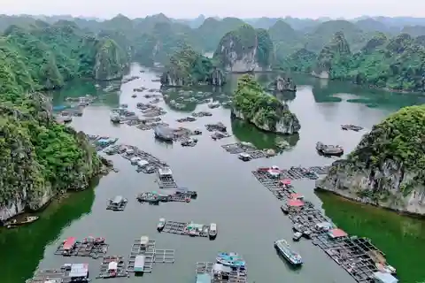 Cat Ba Crucero de medio día por la bahía de Lan Ha con kayak