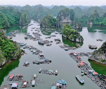 Cat Ba: Lan Ha Bay Halfday Cruise with Kayaking