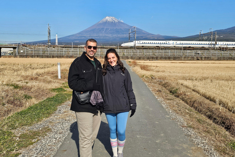 La città di Fuji: Tour panoramico in E-Bike del Monte Fuji