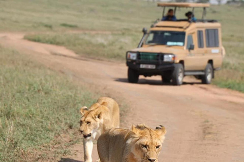 3 days Serengeti & Ngorongoro Crater 3 Days Midrange lodge Safari