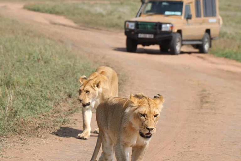 3 days Serengeti & Ngorongoro Crater 3 Days Midrange lodge Safari