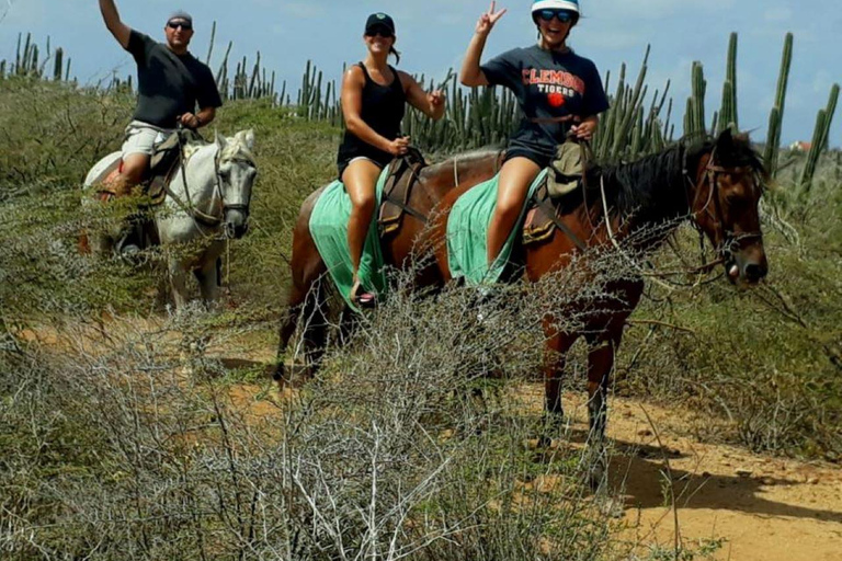 Paardrijtocht Aruba naar Verborgen LagunePaardrijtour Aruba naar Verborgen Lagune