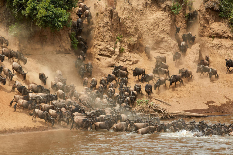 Safari de 3 días por la Migración del Serengeti -Grupo Aventura Tanzania