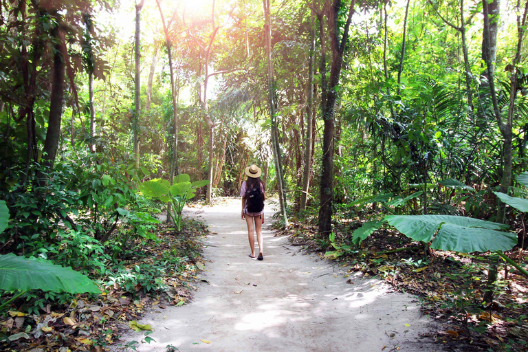 Phuket/Khao Lak: The Ultimate Surin Island Snorkel Odyssey Hotel pickup in Phuket