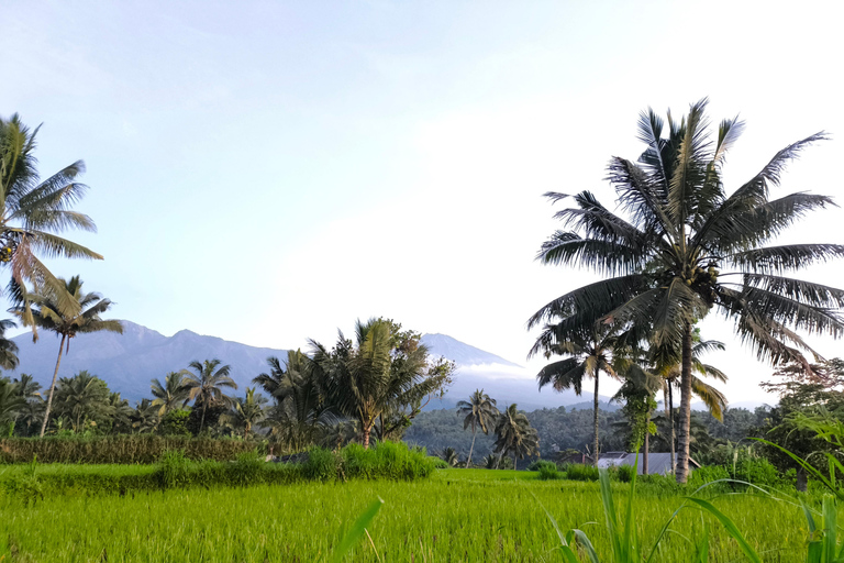 Tetebatu Walking Tour