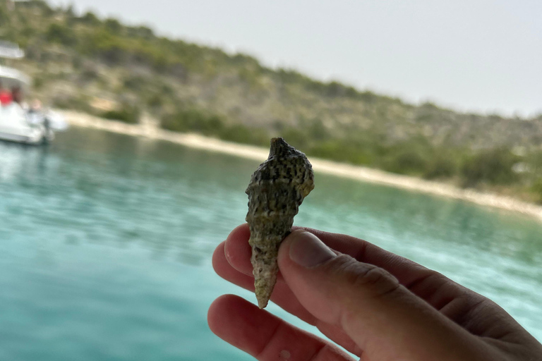 Ze Splitu/Trogiru: Błękitna Laguna i 2 wyspy - pół dnia prywatnieZe Splitu: prywatna półdniowa wycieczka do Błękitnej Laguny i Šolta Nečujam