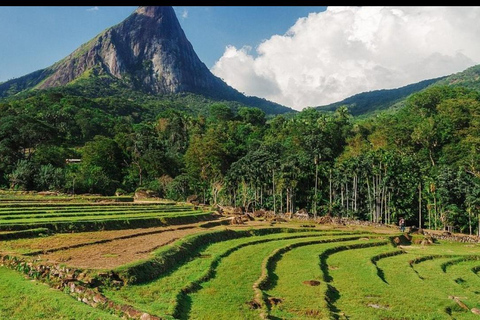 Galle Mirissa Tangalle Hiriketiya To Ella Adventure Transfer