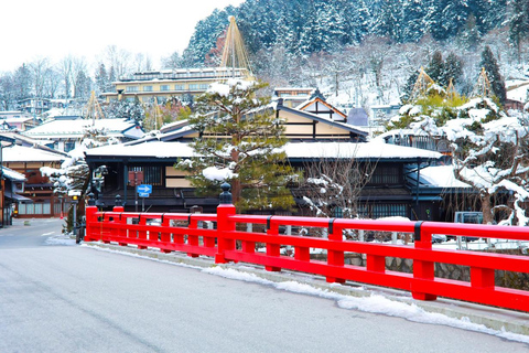 Shirakawa-go Snow Illumination Festival Tour from Nagoya VIP Small group up to 9-guests