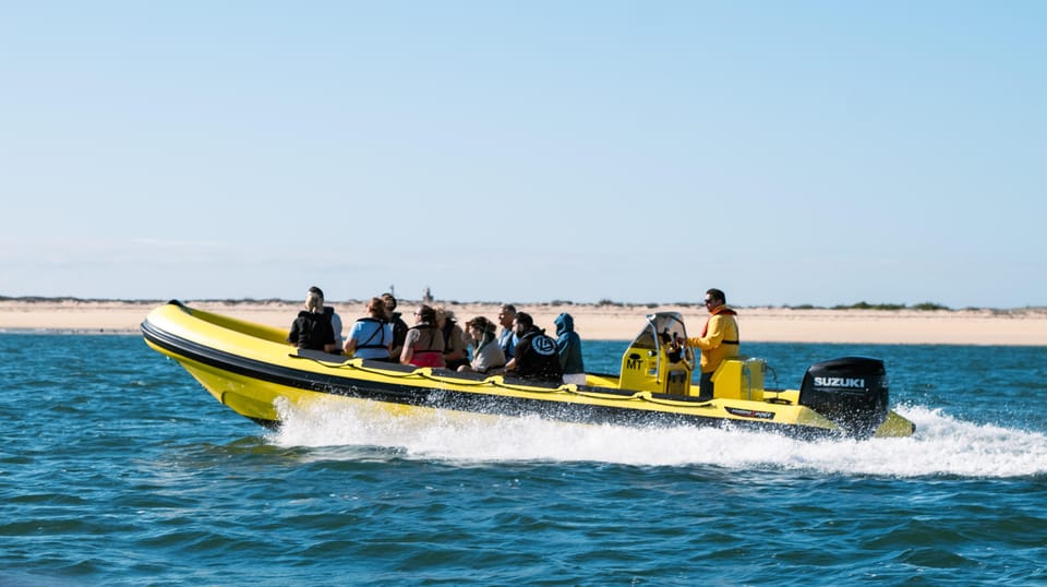 Ab Faro: Ria Formosa Hop-On/Hop-Off-Bootsfahrt 3 Inseln Kreuzfahrt