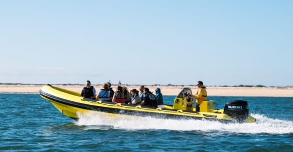 From Faro: Ria Formosa Hop-On Hop-Off Cruise to 3 Islands