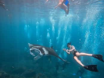 Nusa Penida: snorkelen op 3 plekken met GoPro & kajakken in de mangroves