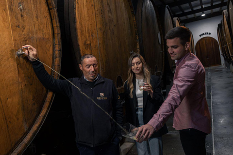 San Sebastian: Culture and Gastronomy Guided E-Bike Tour