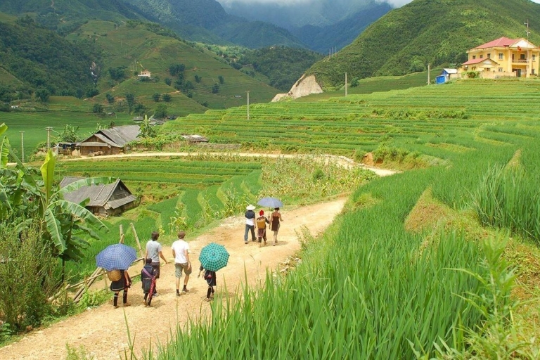Desde Hanoi: Senderismo y Estancia: Aventura de 3 días en las Tierras Altas de Sapa