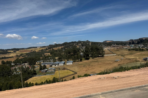 Addis Ababa: City Tour, Debre Libanos & Portuguese Bridge