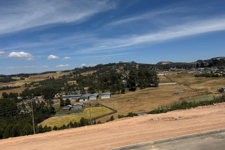 Addis Ababa: City Tour, Debre Libanos & Portuguese Bridge