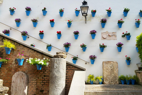 Cordoba: Tour guidato della Moschea-Cattedrale e del Quartiere Ebraico