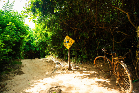 Secret Beach, Kuza-Höhle und Jozani-Wald mit Transfer