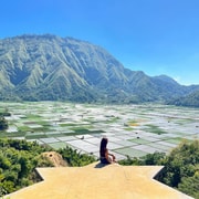 Lombok: Tiu Kelep, Selong Hill, Mountain Coffee & Strawberry