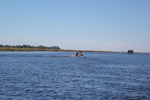 Chobe River Safari Cruise with Professional Guide
