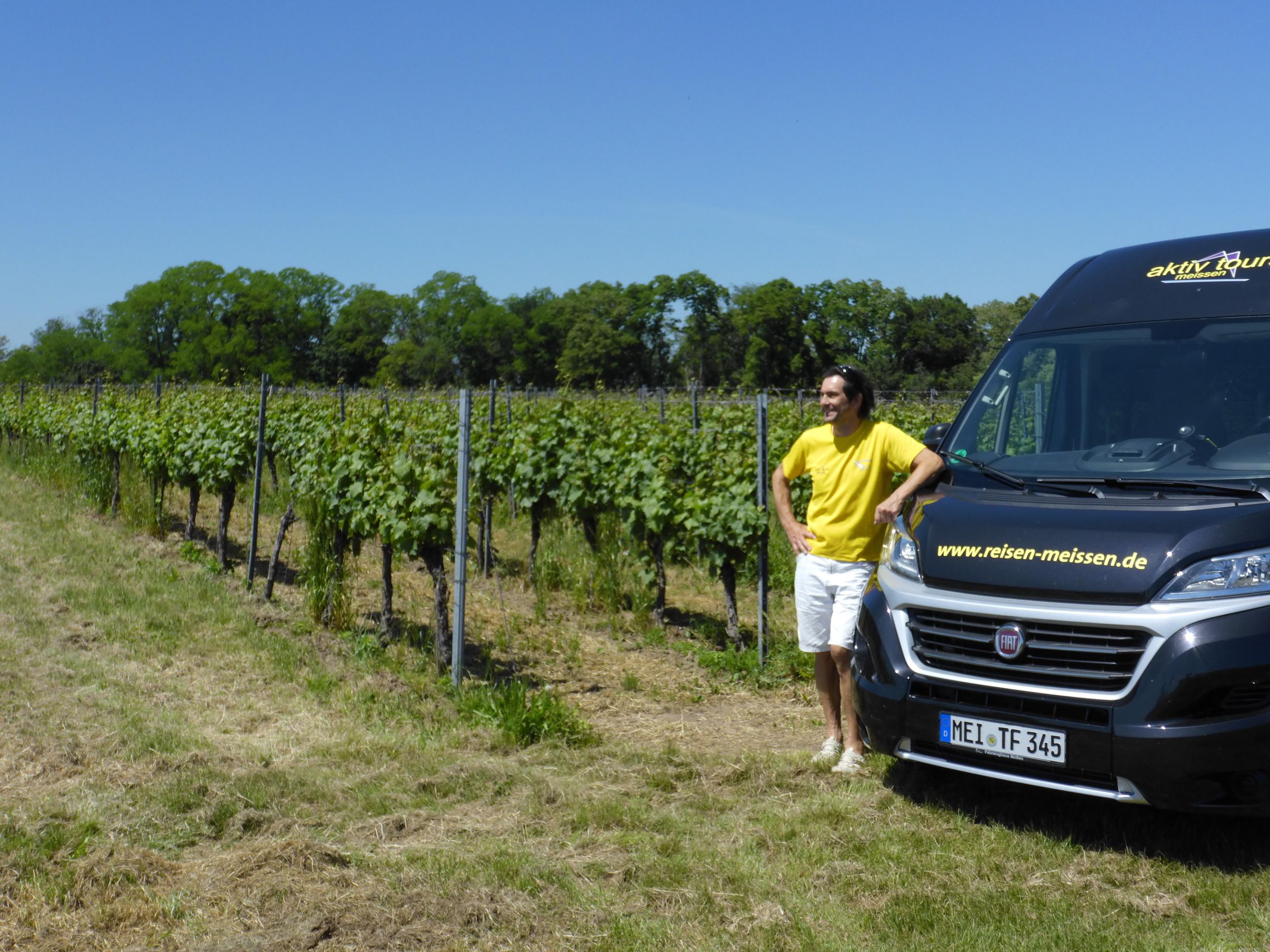 Meißen: Wein-Bus-Tour - Rundfahrt zu Meißner Weingütern