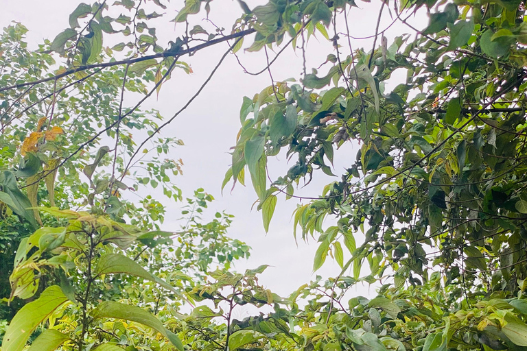 Bentota River Safari: Entdecke Wildtiere und Mangroven vom Boot ausBentota River Safari: Entdecke die Tierwelt und Mangroven vom Boot aus