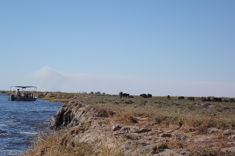 Chobe River Safari Cruise with Professional Guide