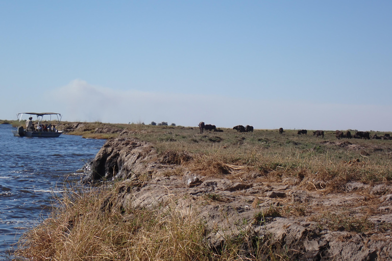 Chobe River Safari Cruise with Professional Guide