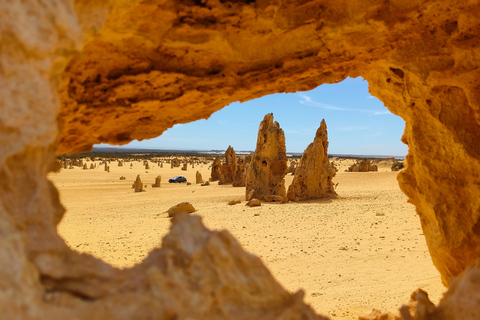 Koala, Lancelin, Wedge Island & Pinnacles Tour from Perth Pinnacles Desert, Sand Dunes, and Wedge Island Day Tour
