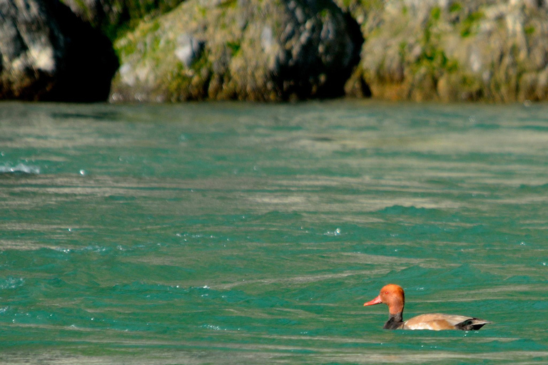 Kathmandu: 4 Days Fishing Trip in Babai River