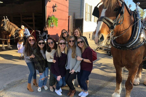 Charleston: Tour storico residenziale a cavallo e in carrozza